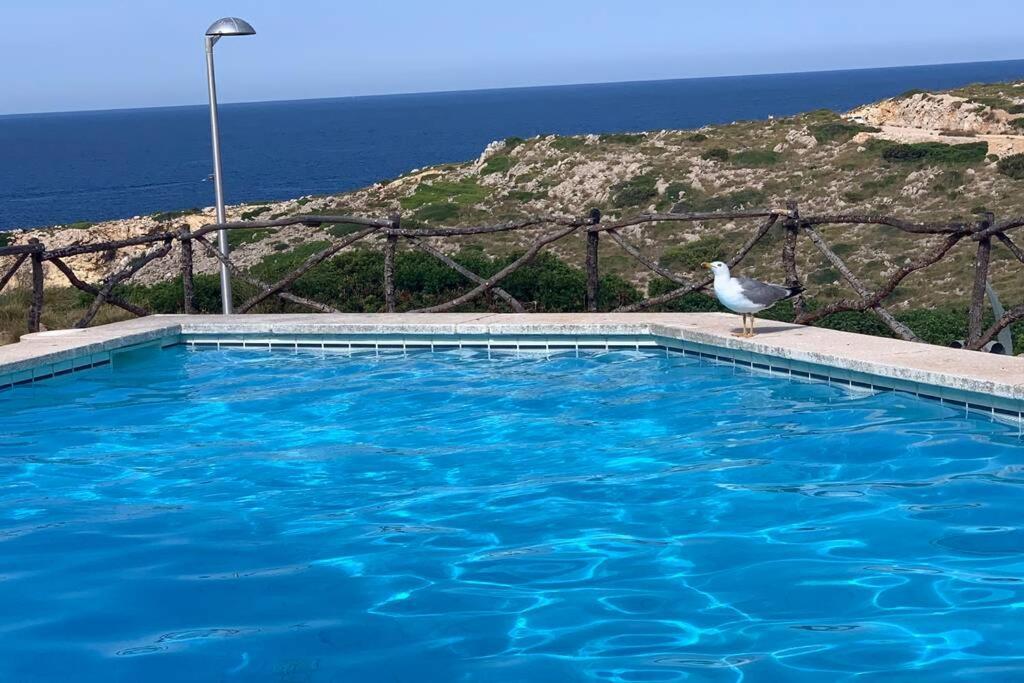 Apartamento A Estrenar Con Vistas Al Mar. Son Parc Esterno foto